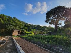 -清水湖度假村(罗浮山美食地标店)