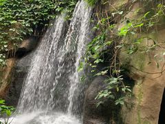 -南山植物园