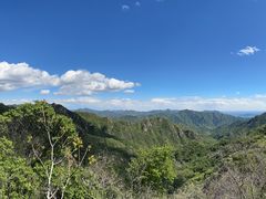 -大岭沟猕猴桃谷风景区
