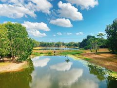 -热带雨林自然公园