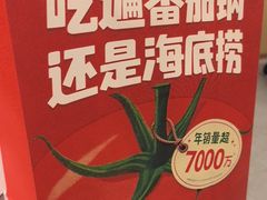-海底捞火锅(天通苑华联店)