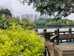 -重庆彩云湖湿地公园