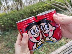 -青枫公园