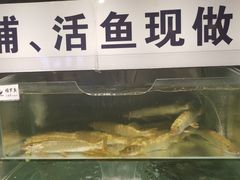 水产区-胖姐渔村(中源大道店)