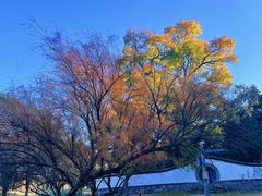-承德避暑山庄景区