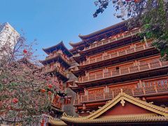 -大佛寺高级素食自助餐厅