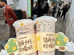 -猫的魔法密林(衣裳街店)