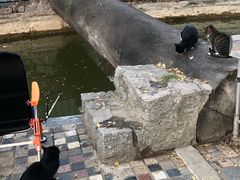 -酷鱼垂钓CLUB(朝阳区博大路店 )