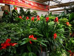 -秦美花卉(天朗·莱茵小城2期店)