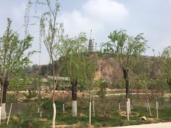 -渭南桃花源民俗文化园