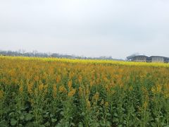 -中国天府农业博览园