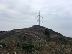 -东白山