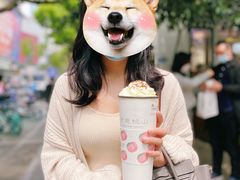 乌龙嬷嬷-伏小桃(明瓦廊店)