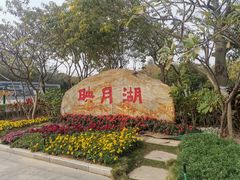 -映月湖公园