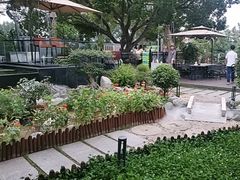 -蘇河湾·新鲁菜·泰山宴(泰山店)