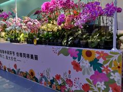 -百荣世贸商城