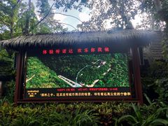 -呀诺达热带雨林