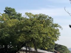 -京都御所