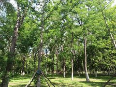 -长白岛森林公园