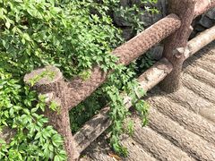 -花溪公园