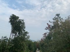 -青龙山国家森林公园