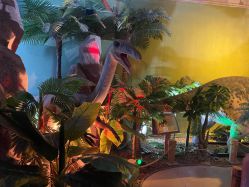 -恐龙探索乐园(磁器口店)