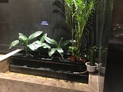 -大鸭梨烤鸭(顺义石园店)