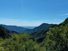 -大岭沟猕猴桃谷风景区