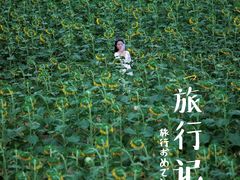 -光明小镇欢乐田园