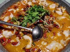 肥肠鱼-龙梅肥肠鱼(明瓦廊店)