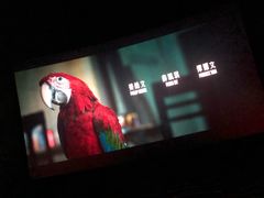 -CGV影城(黄河道ScreenX店)
