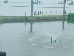 -红樽舫湖州菜.湖景餐厅(太湖渔人码头店)