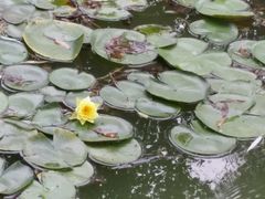 android_upload_pic-西部兰花园生态园