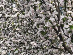 -蔓兰家的四季S0餐厅·融合菜(当代MOMA店)