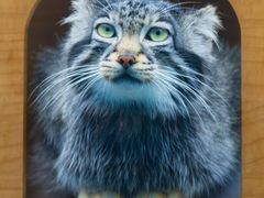 -青藏高原野生动物园