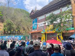 -西双版纳原始森林公园