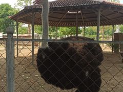 -意大利农场度假村
