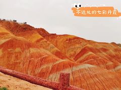 -清真·伊清阁餐厅