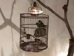 -小厨娘淮扬菜(六合欢乐港店)