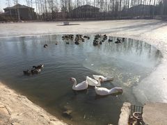 景点-中家鑫园温泉酒店鑫悦汤泉