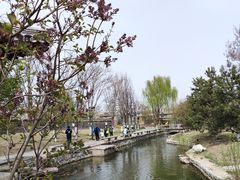 -三里河公园
