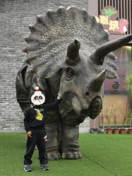 -恐龙探索乐园(磁器口店)