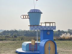 -空港花田景区