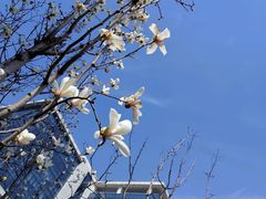 -瑞幸咖啡(天安数码城店)