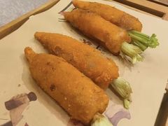 -丁老爷子苏香圆