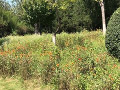 -济南国际园博园