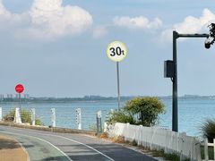 -贡湖湾湿地公园
