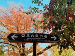 -三鹰之森吉卜力美术馆