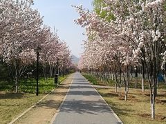 -永定河休闲森林公园