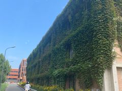 -清华大学-紫荆园餐厅